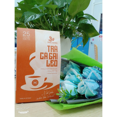 Combo 07 Hộp Trà Cà gai leo Thái Hưng 25 túi lọc x 05g (125g) - Mát gan, giải độc, giải rượu, giảm mụn nhọt