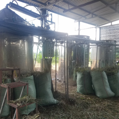 Tinh dầu Sả chanh 100ml Mộc Mây - tinh dầu nguyên chất 100% từ thiên nhiên - chất lượng và mùi hương vượt trội