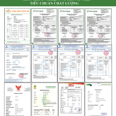 Tinh dầu Tràm Huế (Tràm Gió) 50ml xuất khẩu thị trường Mỹ, nguyên chất từ  thiên nhiên, An Toàn Cho Bé, Xông Phòng, Khử Mùi, Kháng Khuẩn, Đuổi Muỗi, Giải Cảm - KingOil