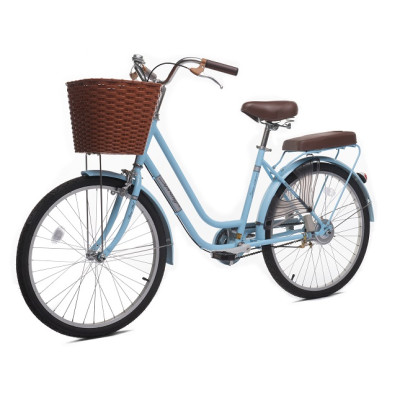 Xe đạp Thống nhất nữ LD 24-02 - Hàng chính hãng