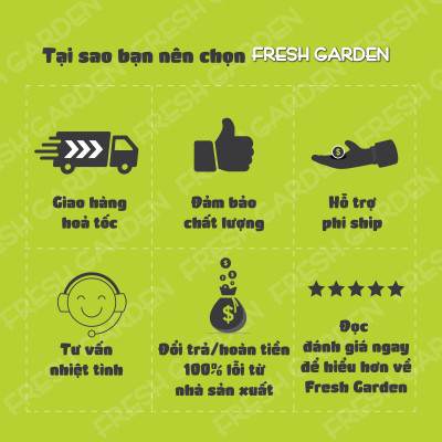 Bánh Quy Soclola Chip FRESH GARDEN Thơm Ngon Giòn Tan Nhiều Dinh Dưỡng Hộp 80g