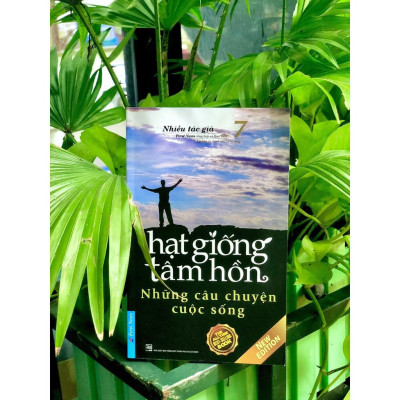Sách Hạt Giống Tâm Hồn (Tập 7) Những Câu Chuyện Cuộc Sống First News