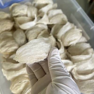 [HGK-K1] Yến Sào Tinh Chế Rút Lông Cao Cấp - Yến Sào Hòn Gốm Khánh Hòa - HGK NEST