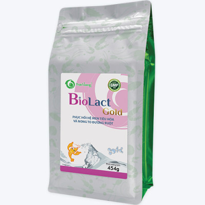 MEN ĐƯỜNG RUỘT CHO TÔM GIÚP TĂNG SỨC KHỎE ĐƯỜNG RUỘT, NONG TO ĐƯỜNG RUỘT VÀ HẤP THU THỨC ĂN TỐT BIOLACT GOLD