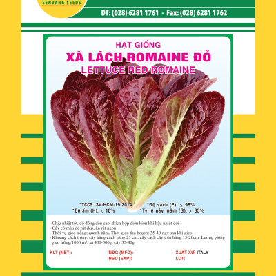 Hạt giống xà lách Romain đỏ VTS143