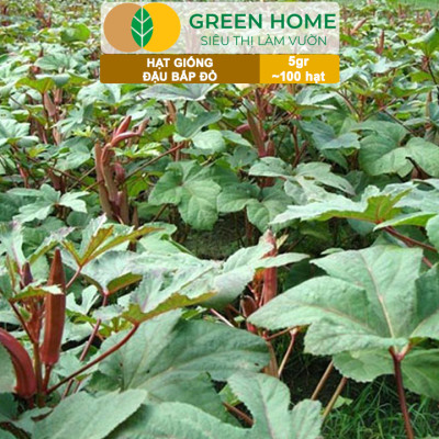 Hạt Giống Đậu Bắp Đỏ Greenhome, Gói 5gr~100 hạt, Dễ Trồng Quanh Năm, Nảy Mầm Cao, Thu Hoạch Nhanh T34