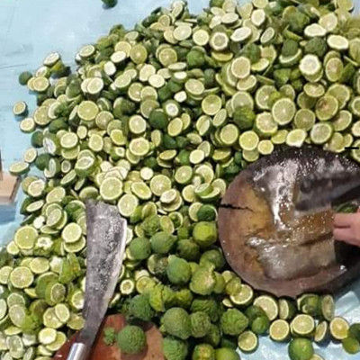 Tinh dầu Chanh tươi (Chanh Thái) 10ml Mộc Mây - tinh dầu thiên nhiên nguyên chất 100% - chất lượng và mùi hương vượt trội - Có kiểm định