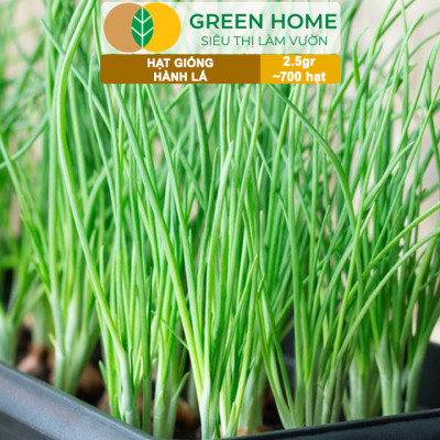 Hạt Giống Hành Lá Greenhome, Gói 2.5gr~700 hạt, Dễ Trồng Quanh Năm, Nảy Mầm Cao, Thu Hoạch Nhanh, Năng Suất Cao G01