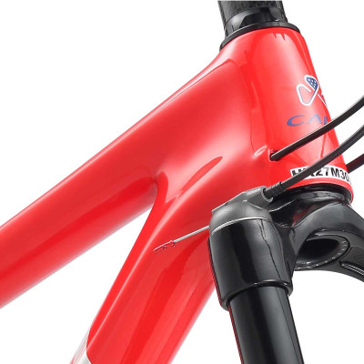 Xe đạp thể thao CALLI 8100 Khung carbon fiber, Module cao, phanh dầu thủy lực