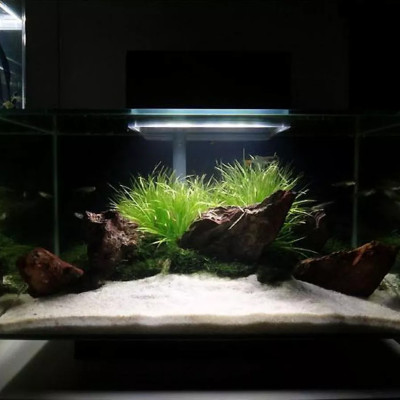 Cát Thạch Anh 2KG + Xốp Lọc Bể Cá 90x30 cm vật liệu lọc nước, trang trí bể cá