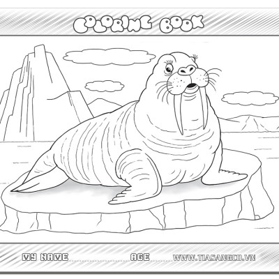 Xếp hình Tia Sáng  Sư tử biển  (30 Mảnh Ghép) - Tặng kèm tranh tô màu cho bé