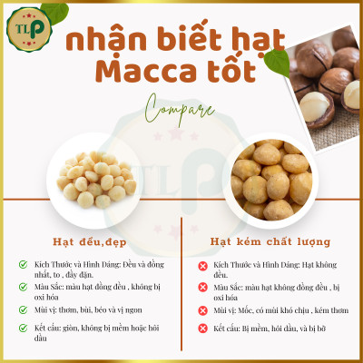 HẠT MACCA NỨT VỎ CAO CẤP TÂN LỘC PHÁT