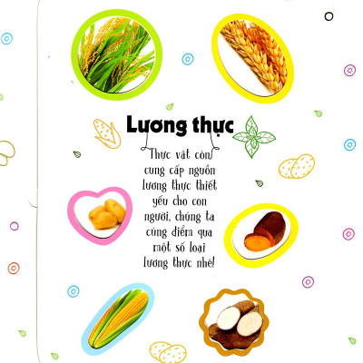 Sách Lift The Flap - Lật Mở Khám Phá - 100 Từ Đầu Tiên Về Thế Giới Thực Vật