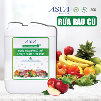 Nước Rửa Rau Củ & Thực Phẩm Tươi Sống Khử Khuẩn, Khử Mùi ASFA Fruit & Vegetable 5 lít An Toàn 100%