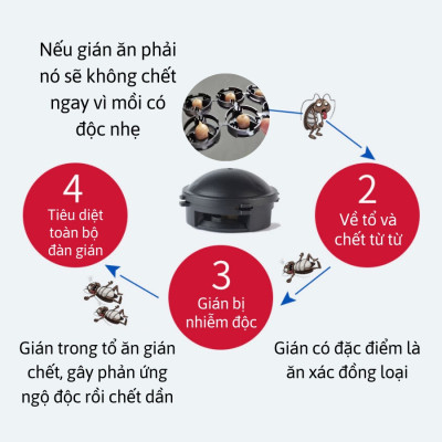 Thuốc Diệt Gián Nhật Bản, Hộp 12 Viên, Diệt Gián Tận Gốc, An Toàn, Hiệu Quả, Hàng Nhập Khẩu