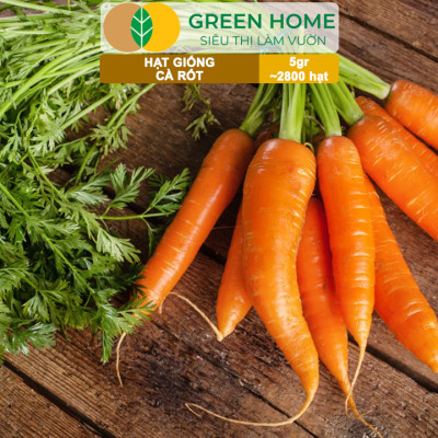 Hạt Giống Cà Rốt GreenHome, Gói 5g~2800 hạt, Dễ Trồng Quanh Năm, Củ To, Dài, Sinh Trưởng Khỏe T40