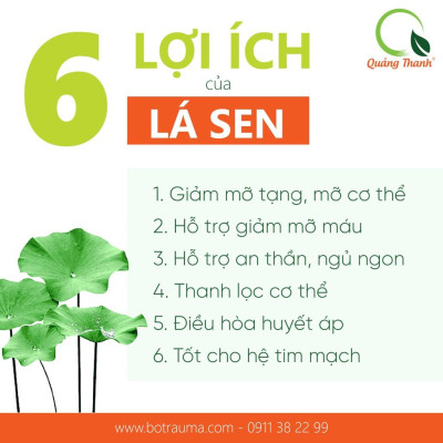 Bột Lá Sen Sấy Lạnh Nguyên Chất Hộp 30g - Ngủ ngon, giảm mỡ máu, giảm cân, mát gan, mờ nám, tàn nhang, đẹp da