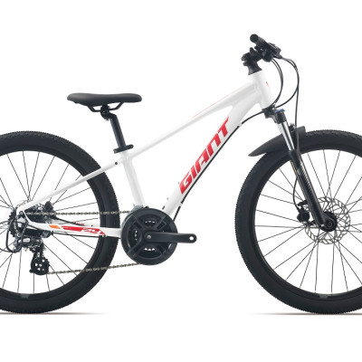 Xe đạp thể thao GIANT 2024 XTC 24-D 1