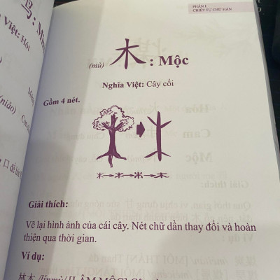 Sách- Sách- Nhớ Hán Tự Thông Qua Chiết Tự Chữ Hán + DVD Tài Liệu