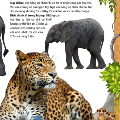 Khám Phá Thế Giới Động Vật 5 Châu - Châu Phi