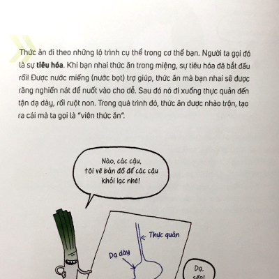 Câu Hỏi To – Câu Hỏi Bé: Ăn Rau Bó Xôi Có Khỏe Gấp Đôi?