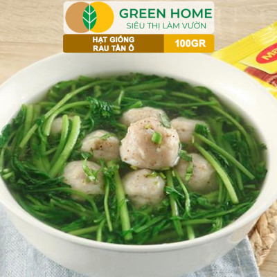 Hạt Giống Rau Tần Ô GreenHome, GÓI 100GR, Cải Cúc Dễ Trồng, Thu Hoạch Nhanh, Năng Suất Cao R34