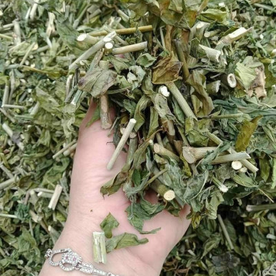 Cây xương khỉ (Cây bìm bịp - Cây mảnh cộng)  - Sản phẩm khô về làm trà ( Gói 1kg)