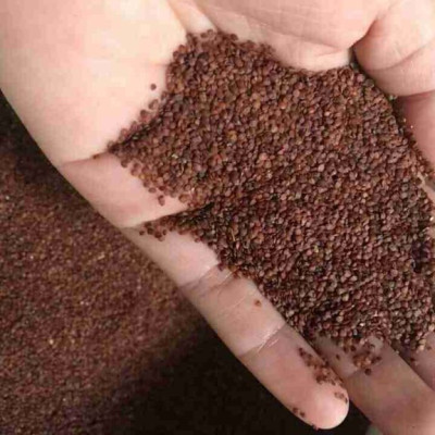 Hạt ngũ hoa -  Hạt huỳnh lịch - Hạt lịch - Gói 200gr