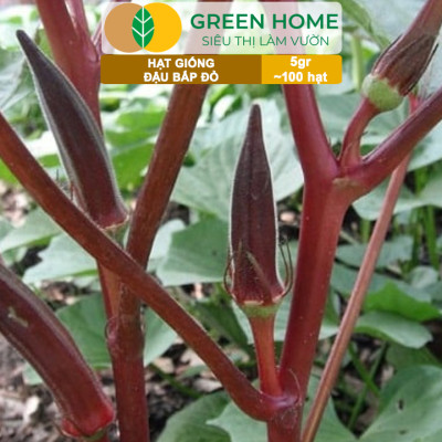 Hạt Giống Đậu Bắp Đỏ Greenhome, Gói 5gr~100 hạt, Dễ Trồng Quanh Năm, Nảy Mầm Cao, Thu Hoạch Nhanh T34