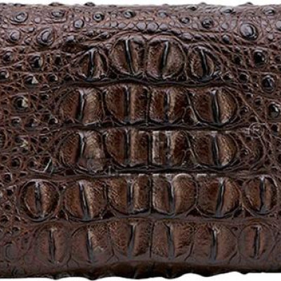 Ví Nữ Huy Hoàng HT3219 (10.5 x 19 cm) - Nâu Đất