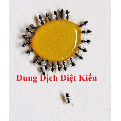 Combo 3 lọ Thuốc diệt kiến gián sinh học Hanpet- Dung dịch diệt kiến tận gốc