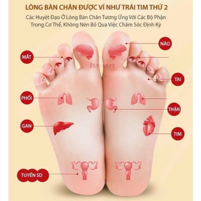 áo thun nam Miếng Dán Thải Độc Chân - Hộp 50 Miếng: Cải Thiện Giấc Ngủ, Giảm Tê Bì Chân Tay Hiệu Quả