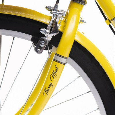 Xe đạp Thống nhất nữ LD 24-02 - Hàng chính hãng