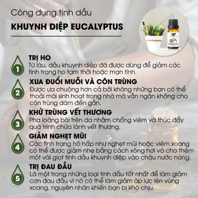 Combo 3 Tinh Dầu Xông Phòng Kobi: Tinh Dầu Khuynh Diệp (30ml) + Tinh Dầu Sả Chanh (30ml) + Tinh Dầu Hương Thảo (30ml) - Tinh Dầu Thiên Nhiên Nguyên Chất, Tốt Cho Bé Sơ Sinh, Giúp Giữ Ấm Cơ Thể, Phòng Ngừa Bệnh Hô Hấp Hiệu Quả