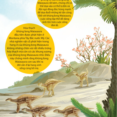 Kiến Thức Về Khủng Long - Khủng Long Cũng Đi Nhà Trẻ Sao? Sinh Sản Và Nuôi Dưỡng Khủng Long