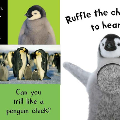 Sách ngoại văn: My First Touch And Feel Sound Book - Noisy Baby Animals