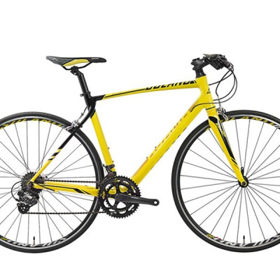 Xe đạp Asama SL2802T