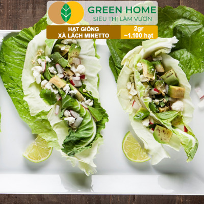 Hạt Giống Xà Lách MINETTO GreenHome, Gói 2gr1100 hạt, Dễ Trồng Quanh Năm, Năng Suất Cao R19