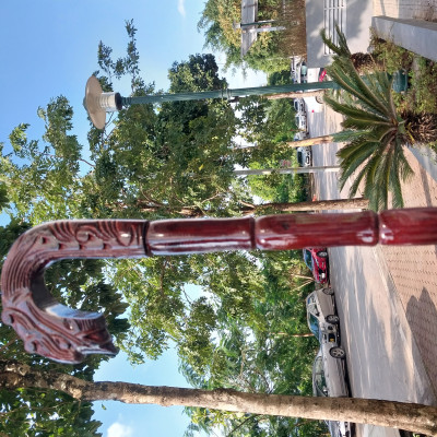 Gậy batoong gỗ trạm đầu rồng cho người già