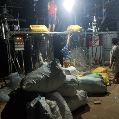 Tinh dầu Tràm gió Organic hữu cơ 100ml Mộc Mây - tinh dầu thiên nhiên nguyên chất 100% - dùng xông tắm ngừa cảm lạnh, ngừa côn trùng cắn đốt cho Bé, Trẻ sơ sinh và Trẻ nhỏ | An toàn cho làn da nhạy cảm của Bé