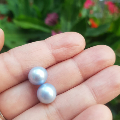 Đôi Bông Tai Ngọc Trai xanh dương nhẹ bóng đẹp 9mm  Size hạt 9mm ngọc trai cao cấp thiên nhiên mệnh Thủy Mộc   Nữ về bọc Vàng làm đôi bông tai vàng đeo cực kỳ xinh luôn ạ