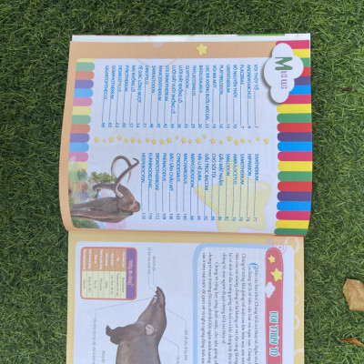 Sách- Bách Khoa Động Vật Dành Cho Trẻ Nhỏ - Động Vật Tiền Sử