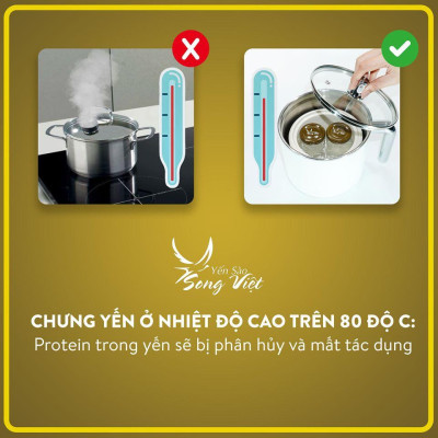 Yến Sào Song Việt - Combo Hộp giấy 3 hũ yến khô