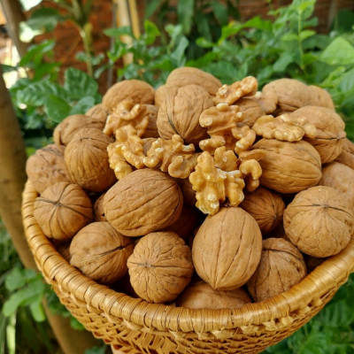 Quả óc chó Mỹ (bịch 500gr)