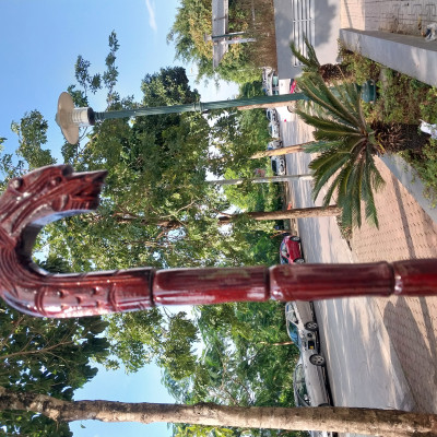 Gậy batoong gỗ trạm đầu rồng cho người già