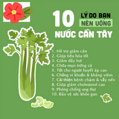 Bột cần tây nguyên chất ( FTAKY)