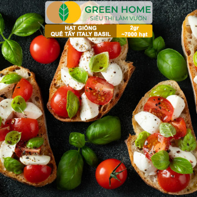 Hạt Giống Quế Tây Italy Basil GreenHome, Gói 2g~7000 hạt, Dễ Trồng Quanh Năm, Tỉ Lệ Nảy Mầm Cao G21