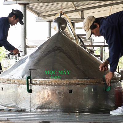 Tinh dầu Tràm gió Organic hữu cơ Mộc Mây - tinh dầu thiên nhiên nguyên chất 100% - dùng xông tắm ngừa cảm lạnh, giảm côn trùng cắn đốt cho Bé, Trẻ sơ sinh và Trẻ nhỏ | An toàn cho làn da nhạy cảm của Bé