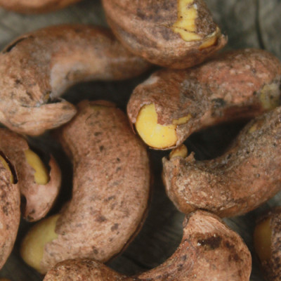 Combo 2 Hũ Hạt Điều Rang Muối Vỏ Lụa Hải Long (250g / Hũ)